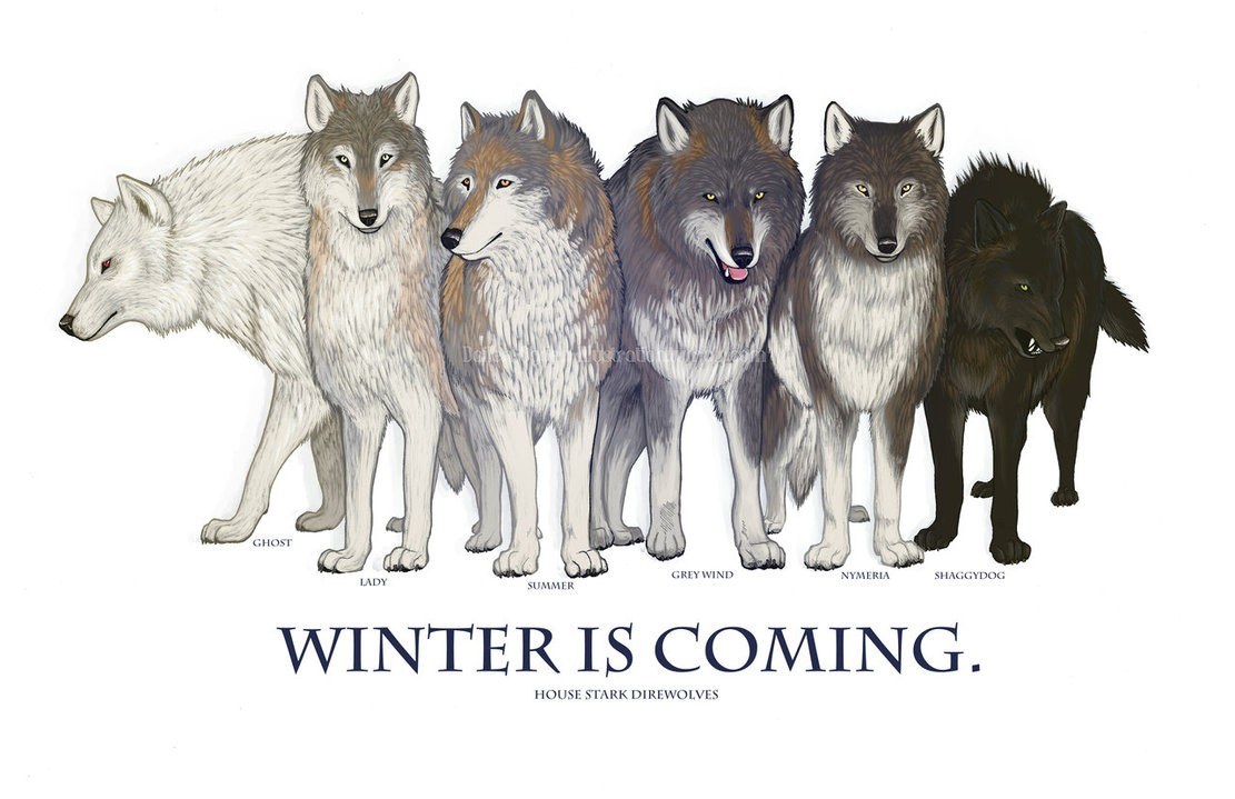 House Stark direwolves