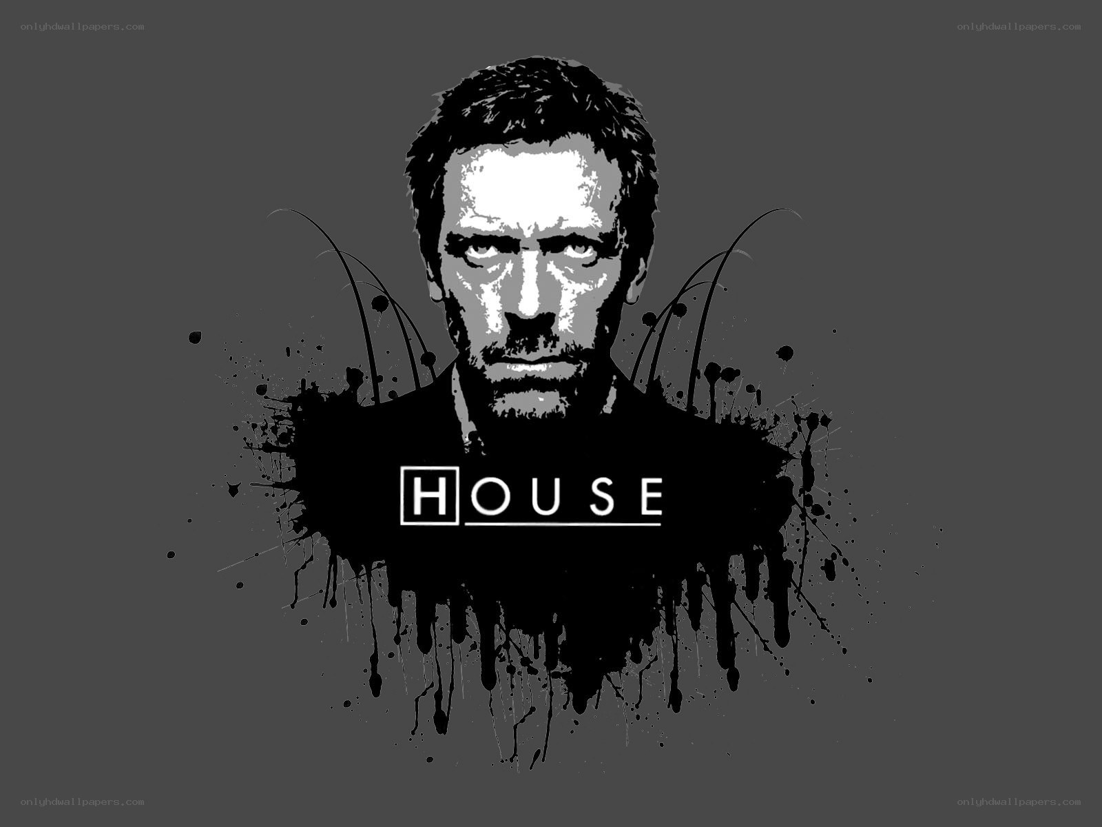 House TV show artwork