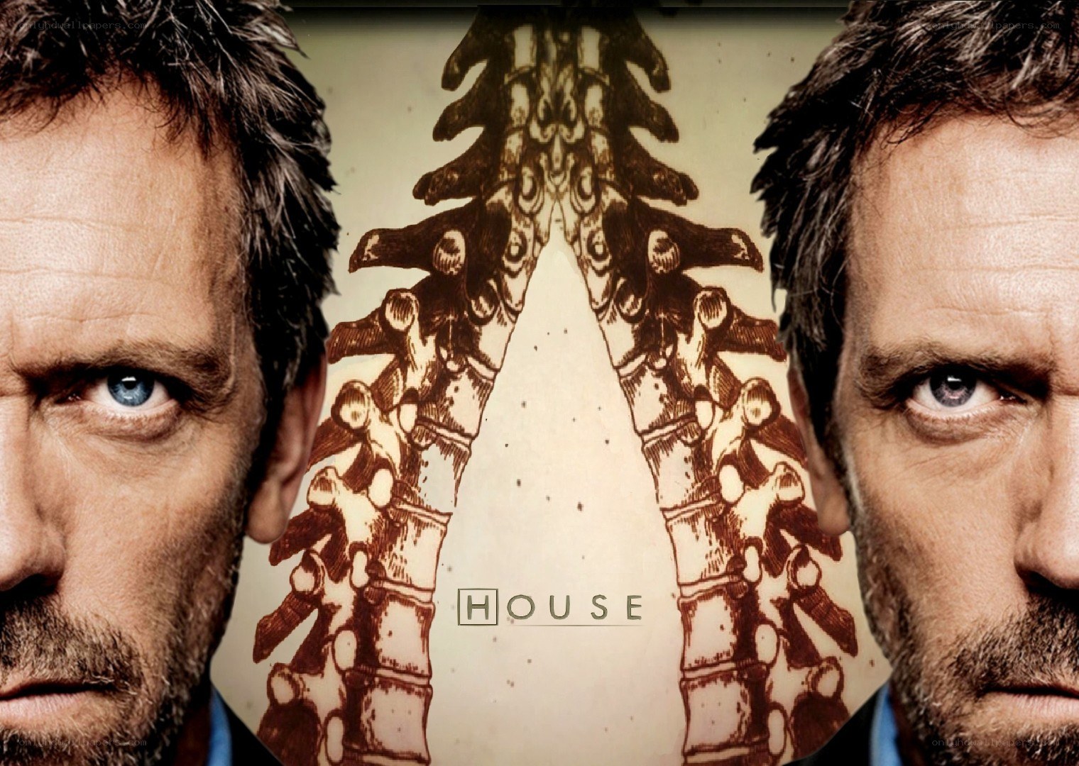 House TV show poster