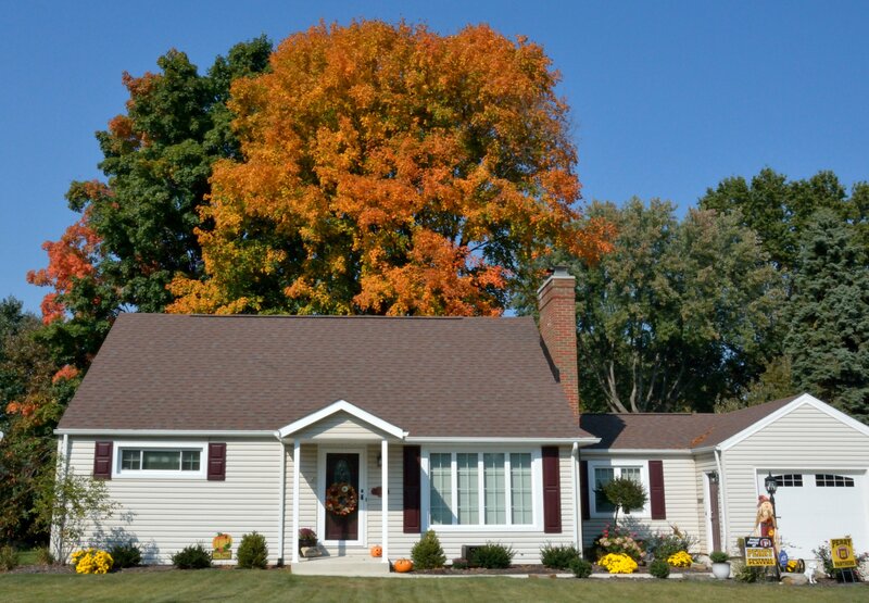 House with Autumn Tree