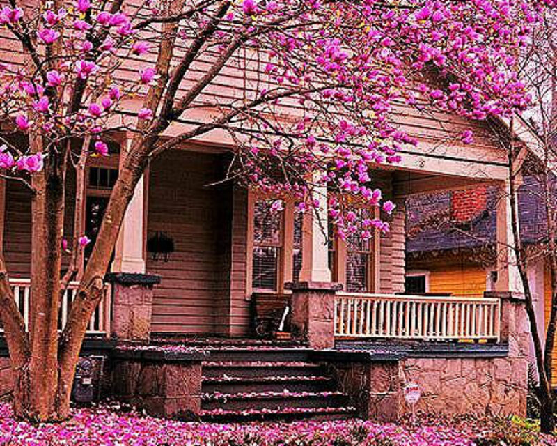 House with Blooming Tree