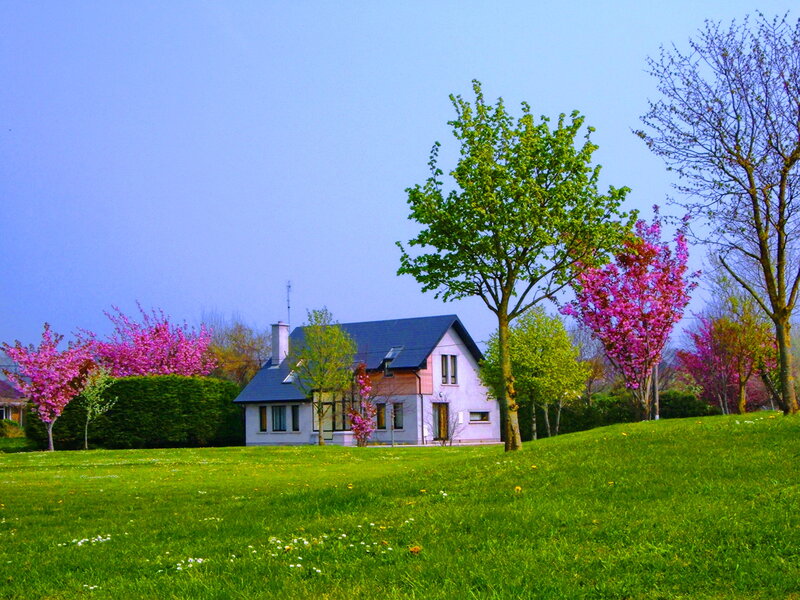 House with Blooming Trees