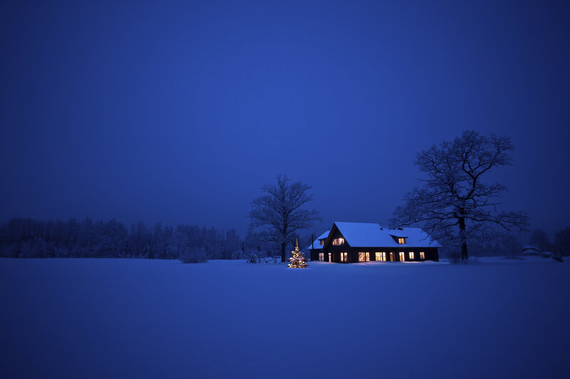 House with Christmas Tree