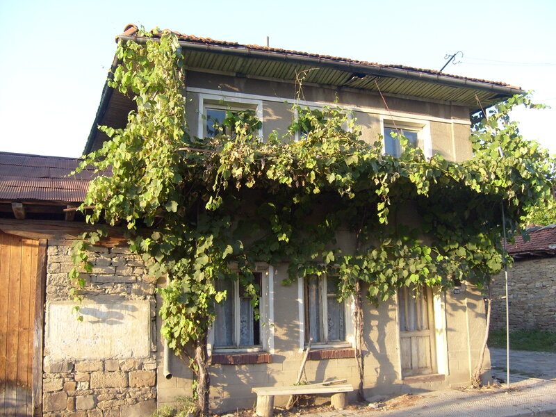 House with Grapevines — Green