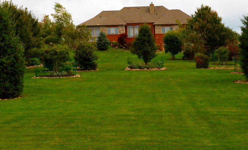 House with Green Lawn — Calm, Afternoon