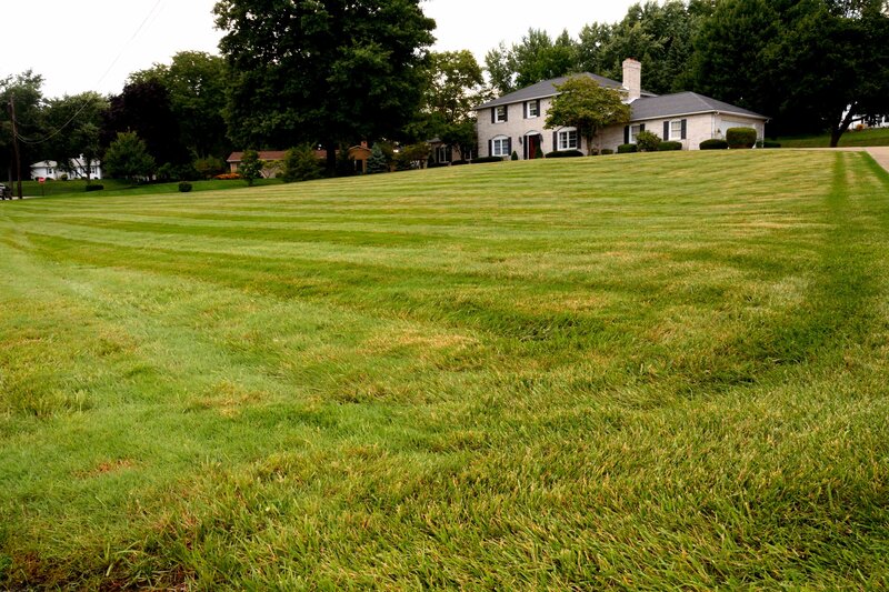 House with Green Lawn — Calm