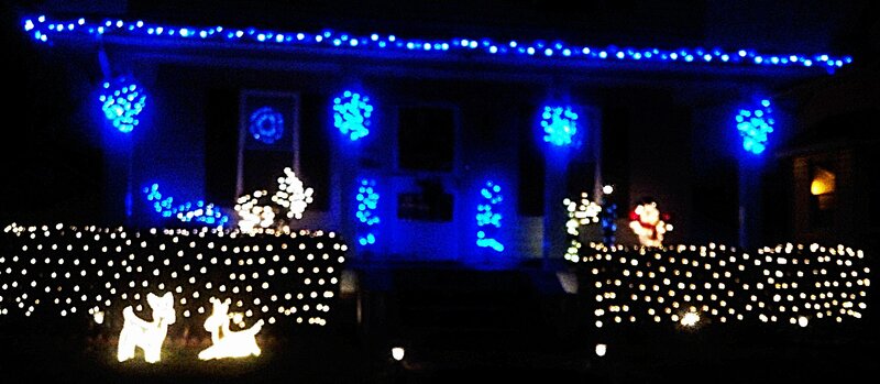 House with Holiday Lights — Blue, Festive, Night, Photograph, Deer Figures