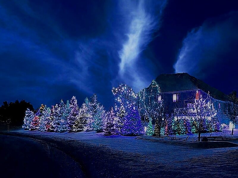 House with Holiday Lights — Blue, Festive, Night, Photograph
