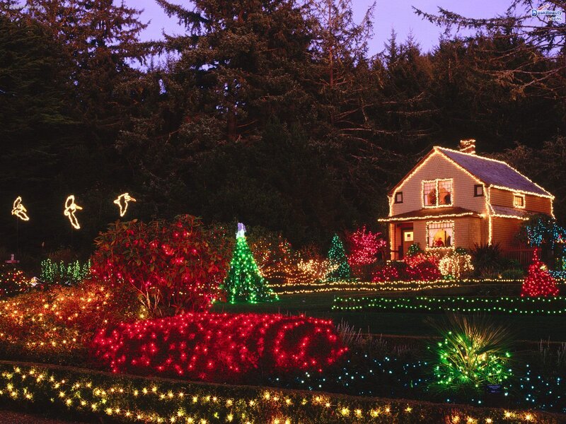 House with Holiday Lights — Festive