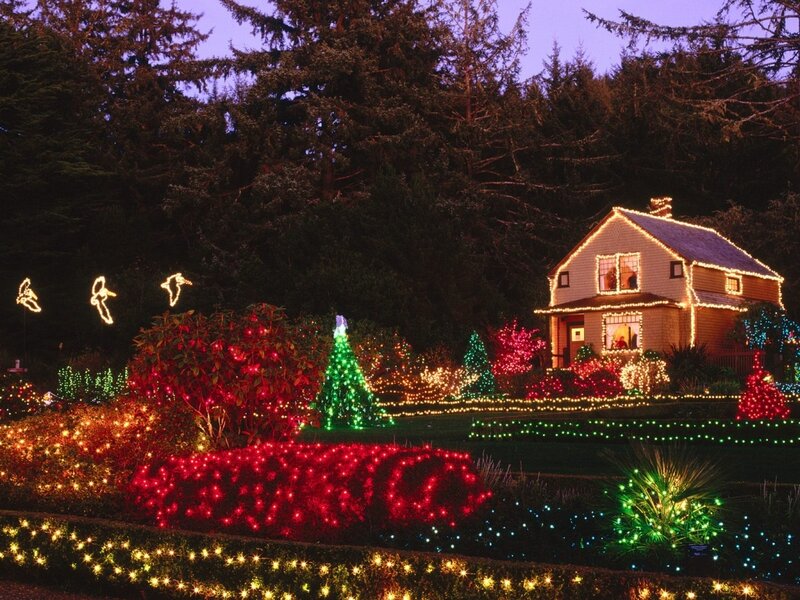 House with Holiday Lights — Green, Festive, Night