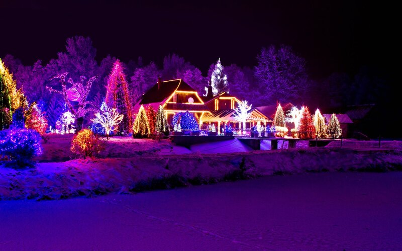 House with Holiday Lights — Purple, Festive, Night, Photograph