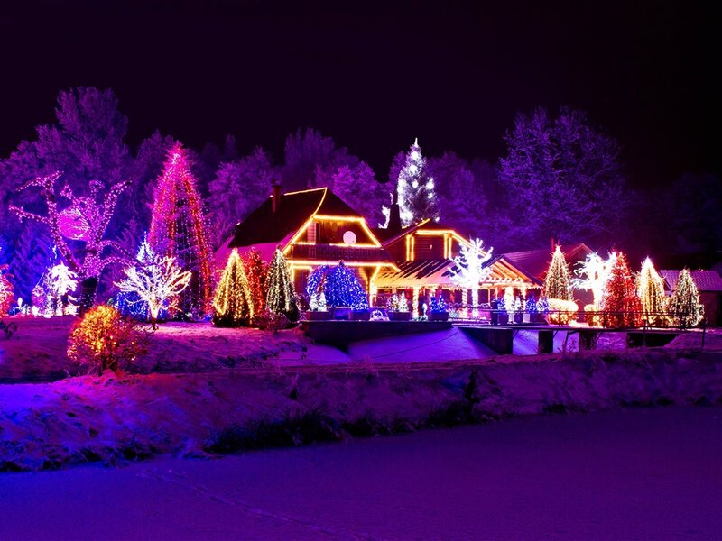 House with Holiday Lights — Purple, Festive, Night, Photograph, Trees