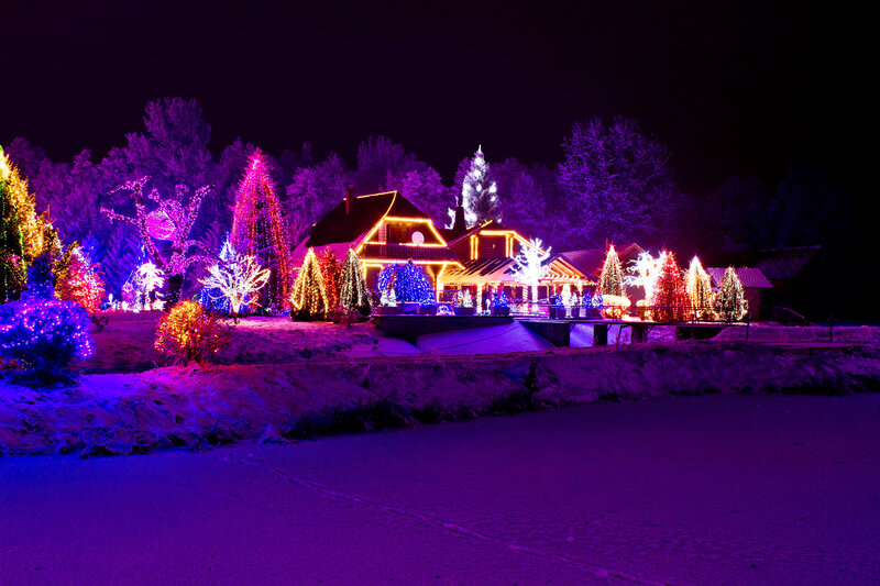 House with Holiday Lights — Purple, Festive, Night
