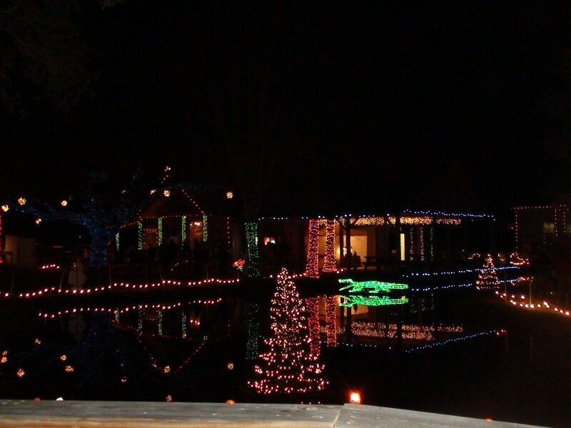 House with Holiday Lights — Red, Festive, Night, Photograph, Tree