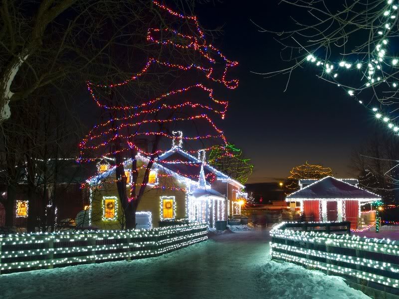 House with Holiday Lights — White, Festive
