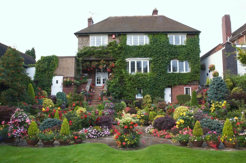 House with Ivy and Flowers