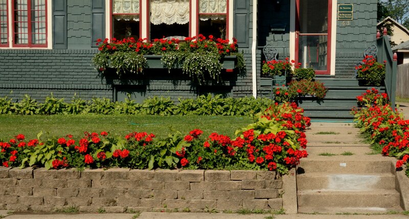 House with Red Flowers — Green