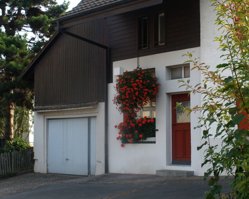House with Red Flowers