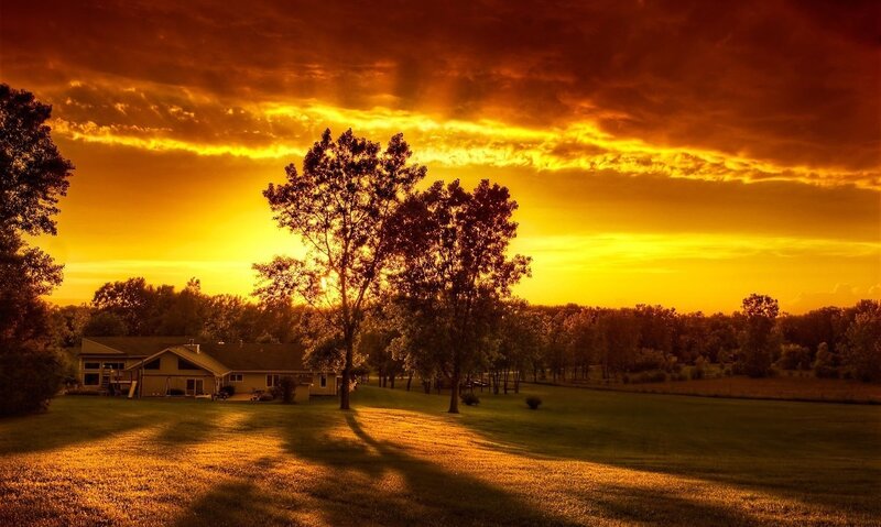 House with Trees at Sunset — Orange