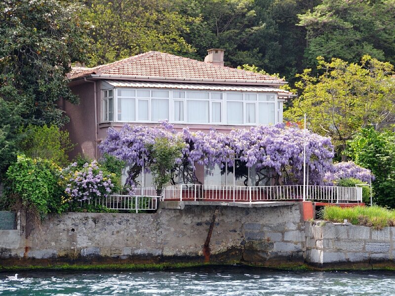 House with wisteria by the water