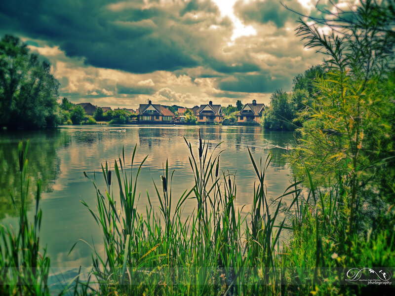 Houses Across a Lake