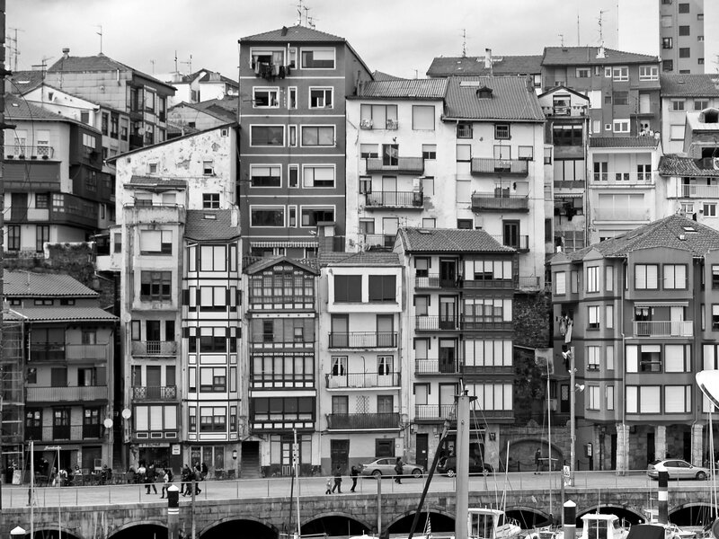 Houses along a harbor in black and white