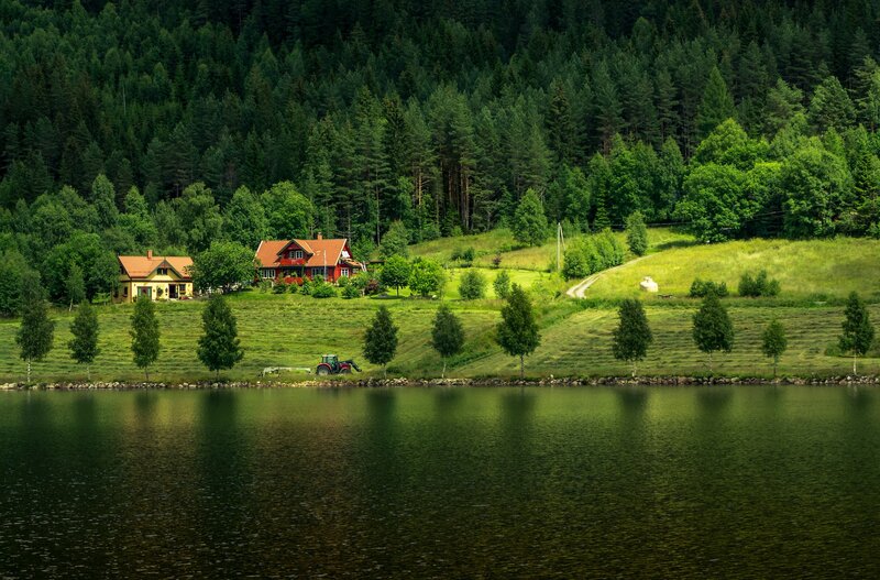 Houses by a Lake