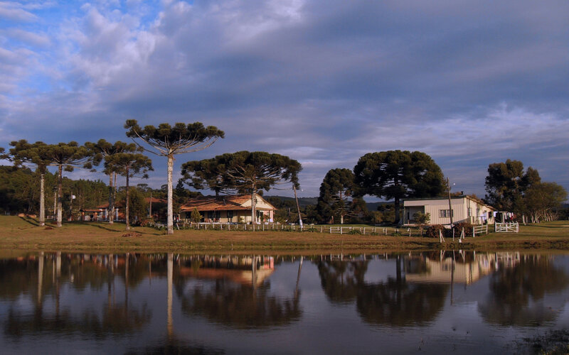 Houses by a Pond — Blue