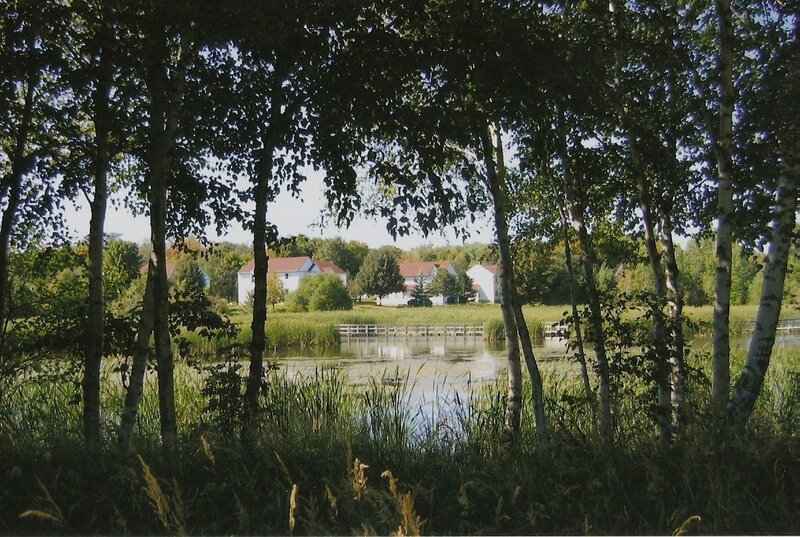 Houses by a pond through trees