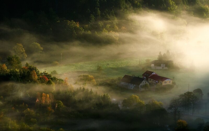 Houses in Misty Valley