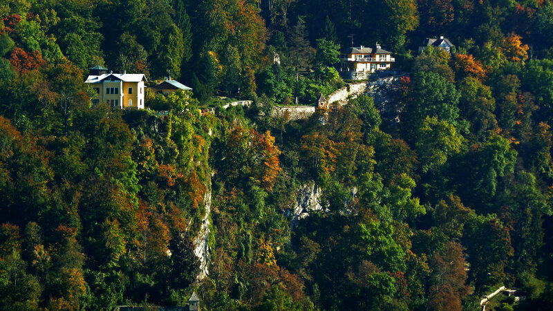 Houses on a Forested Hillside — Green