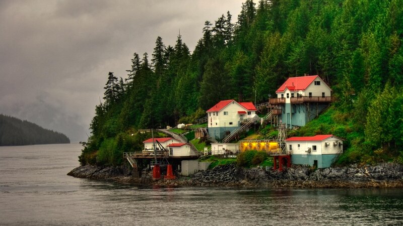 Houses on a Forested Shore