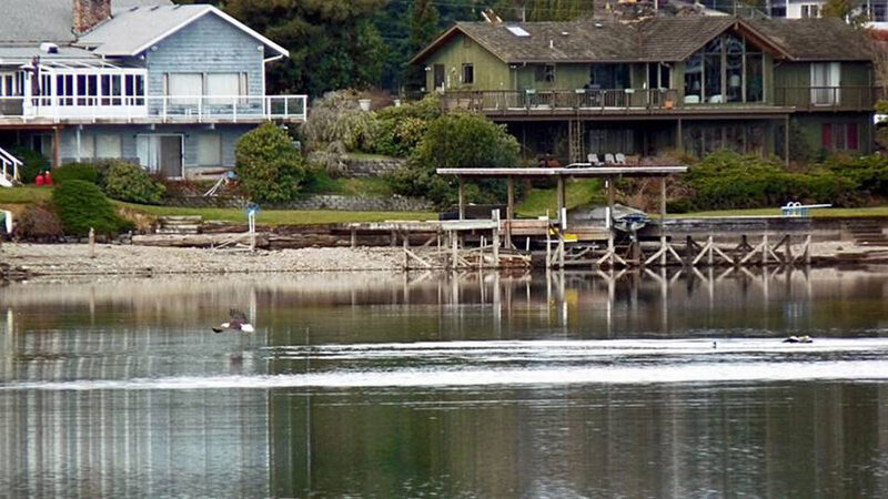 Houses on a lakeside shore