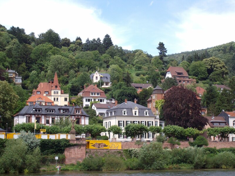Houses on a riverbank in Heidelberg