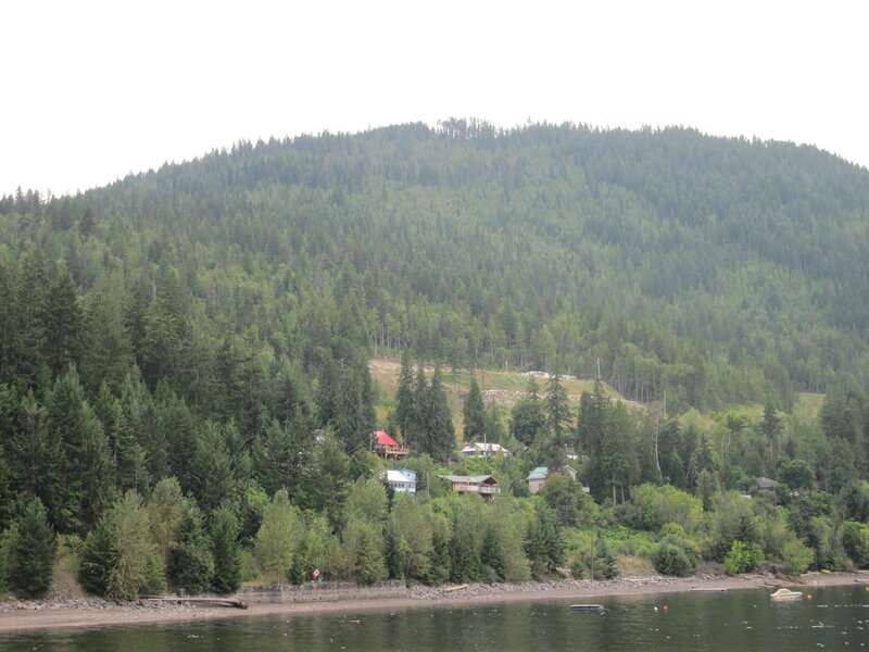 Houses on Forested Hillside