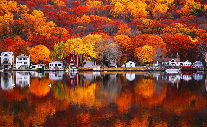 Houses on Lake Shore — Orange