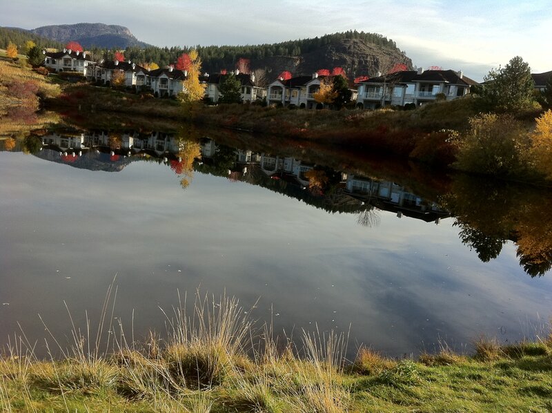 Houses on Lake Shore