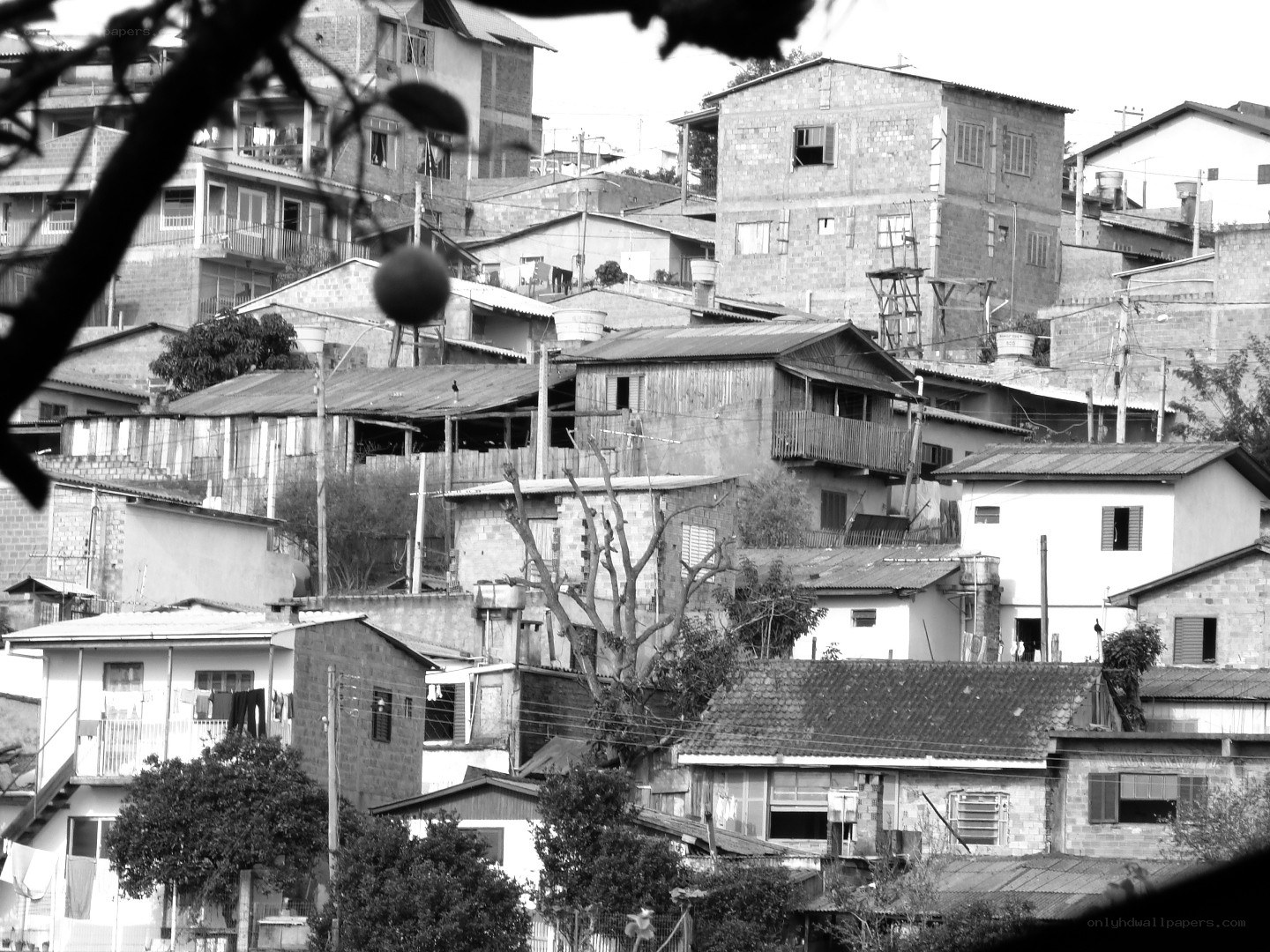Housing in a hillside community