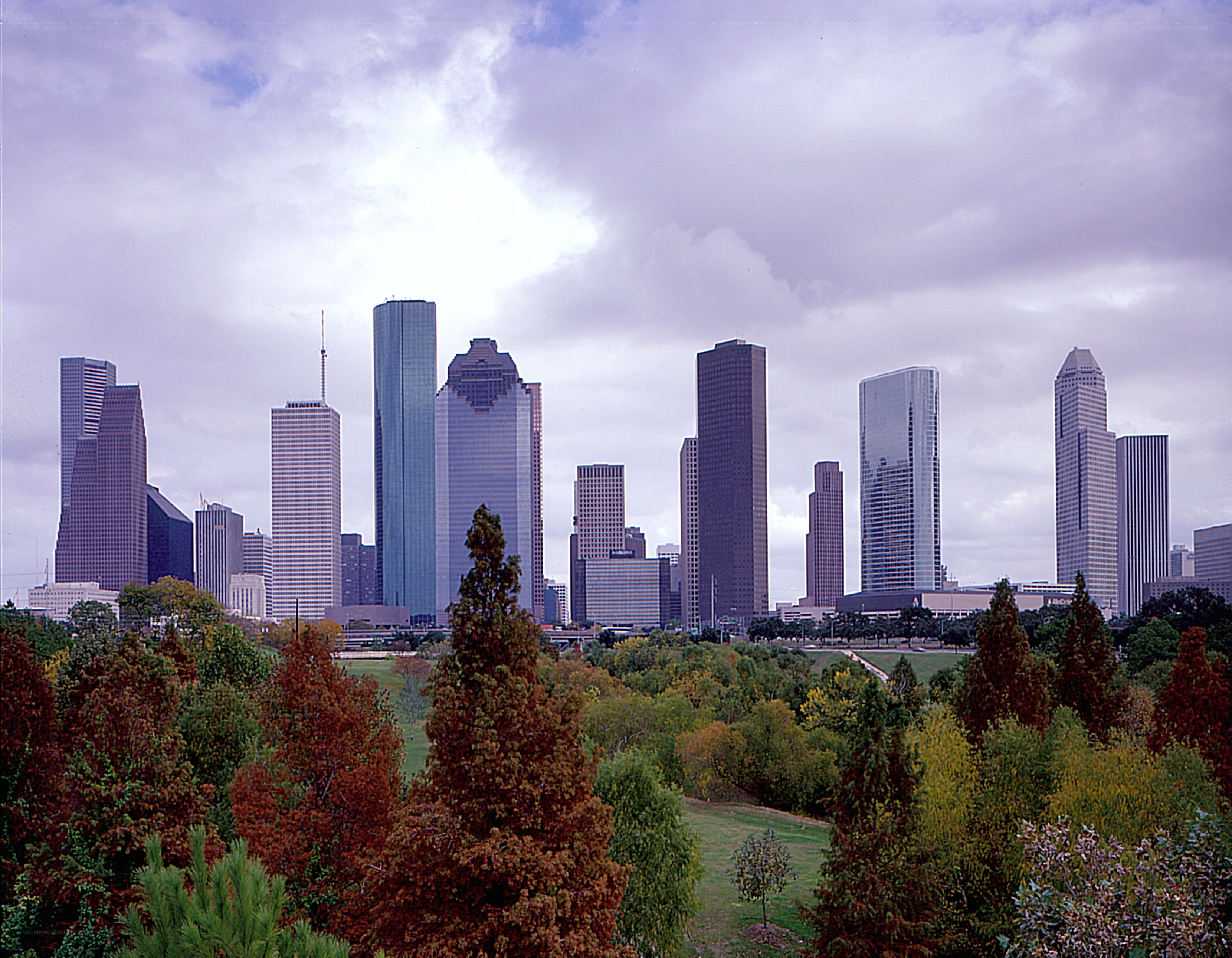 Houston skyline with autumn trees
