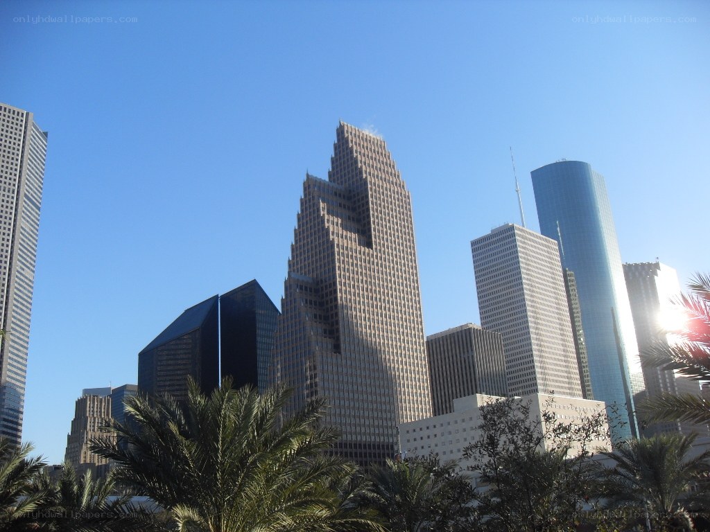 Houston skyline with palm trees