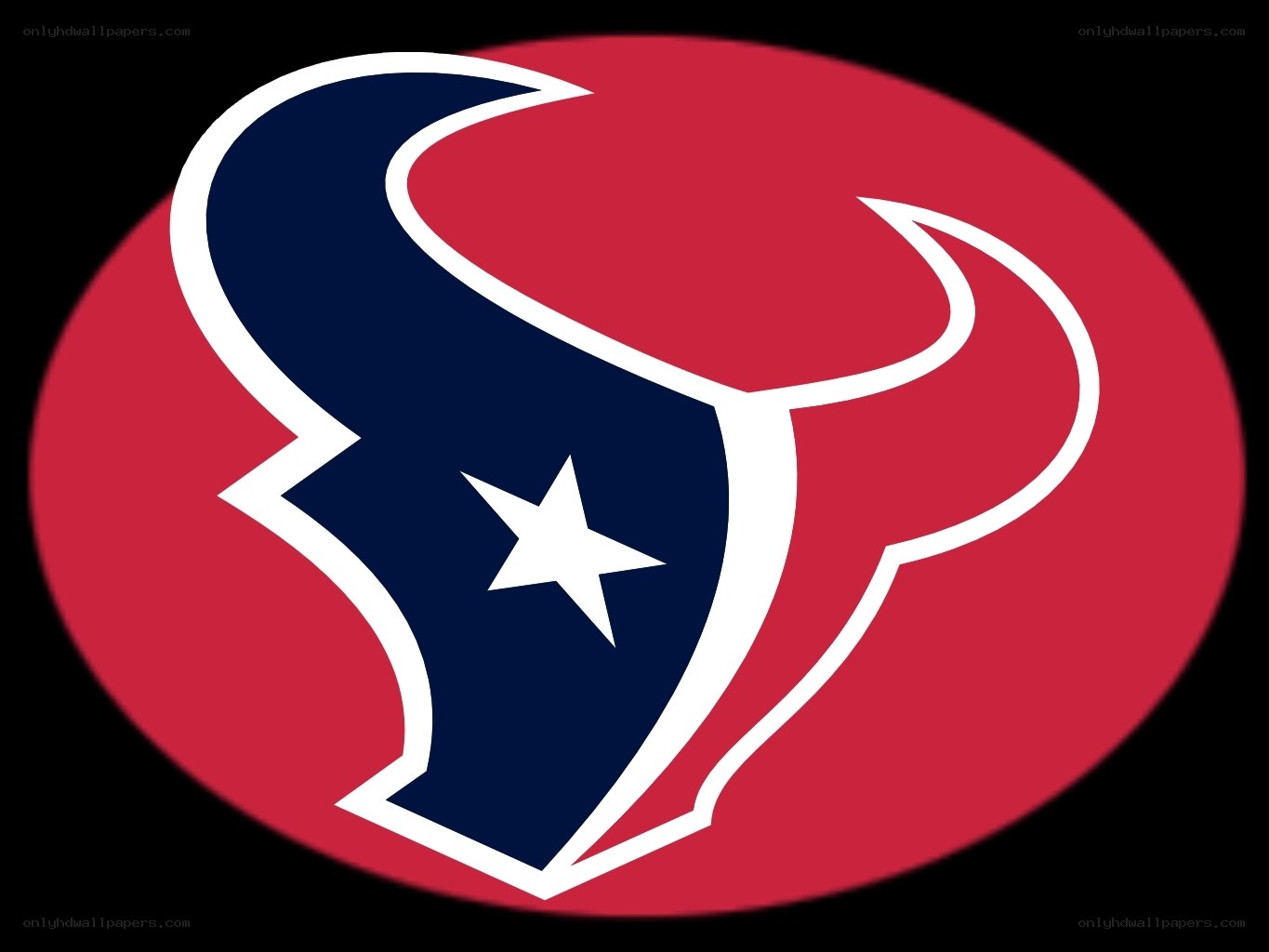 Houston Texans logo