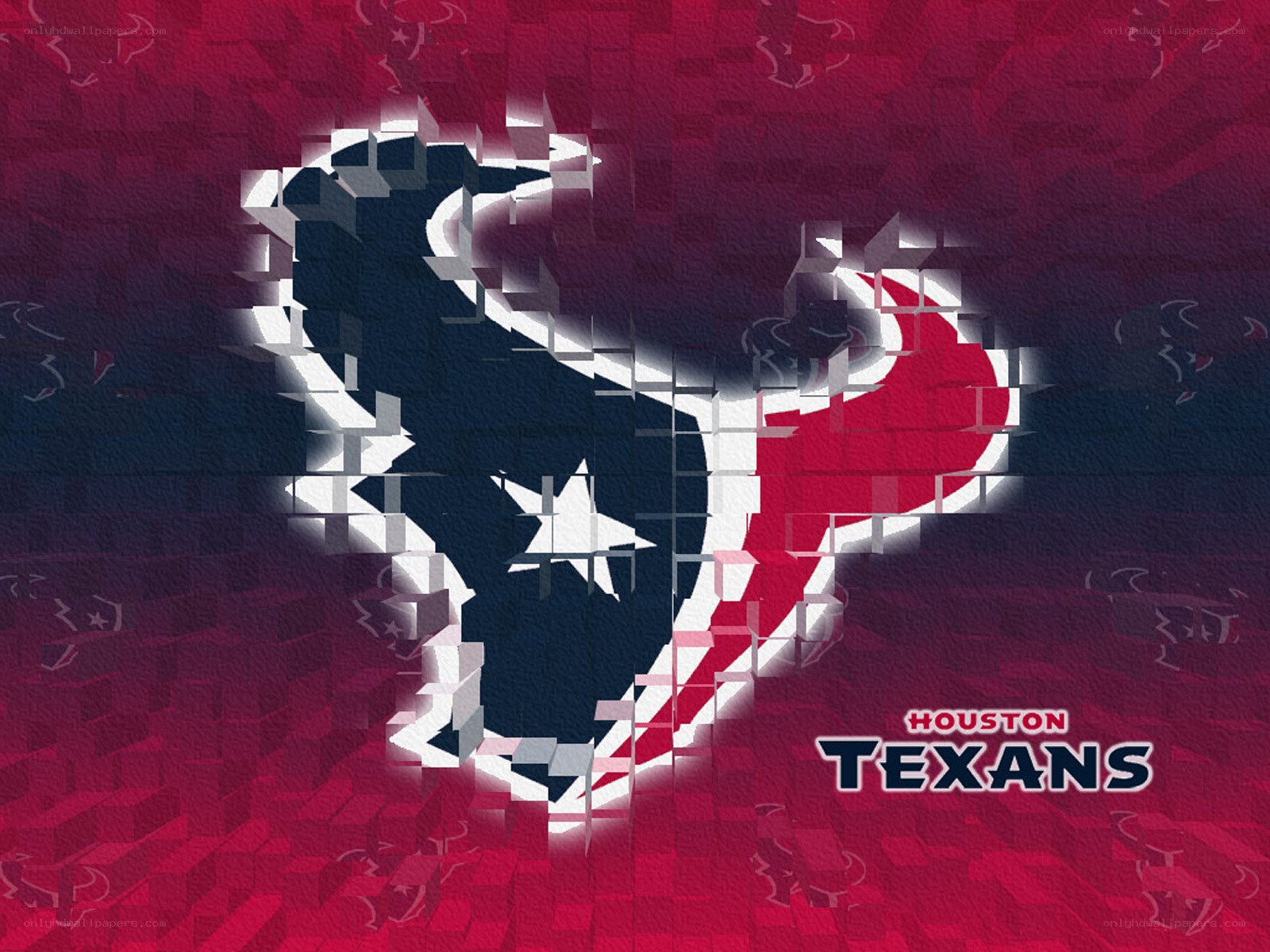 Houston Texans logo art