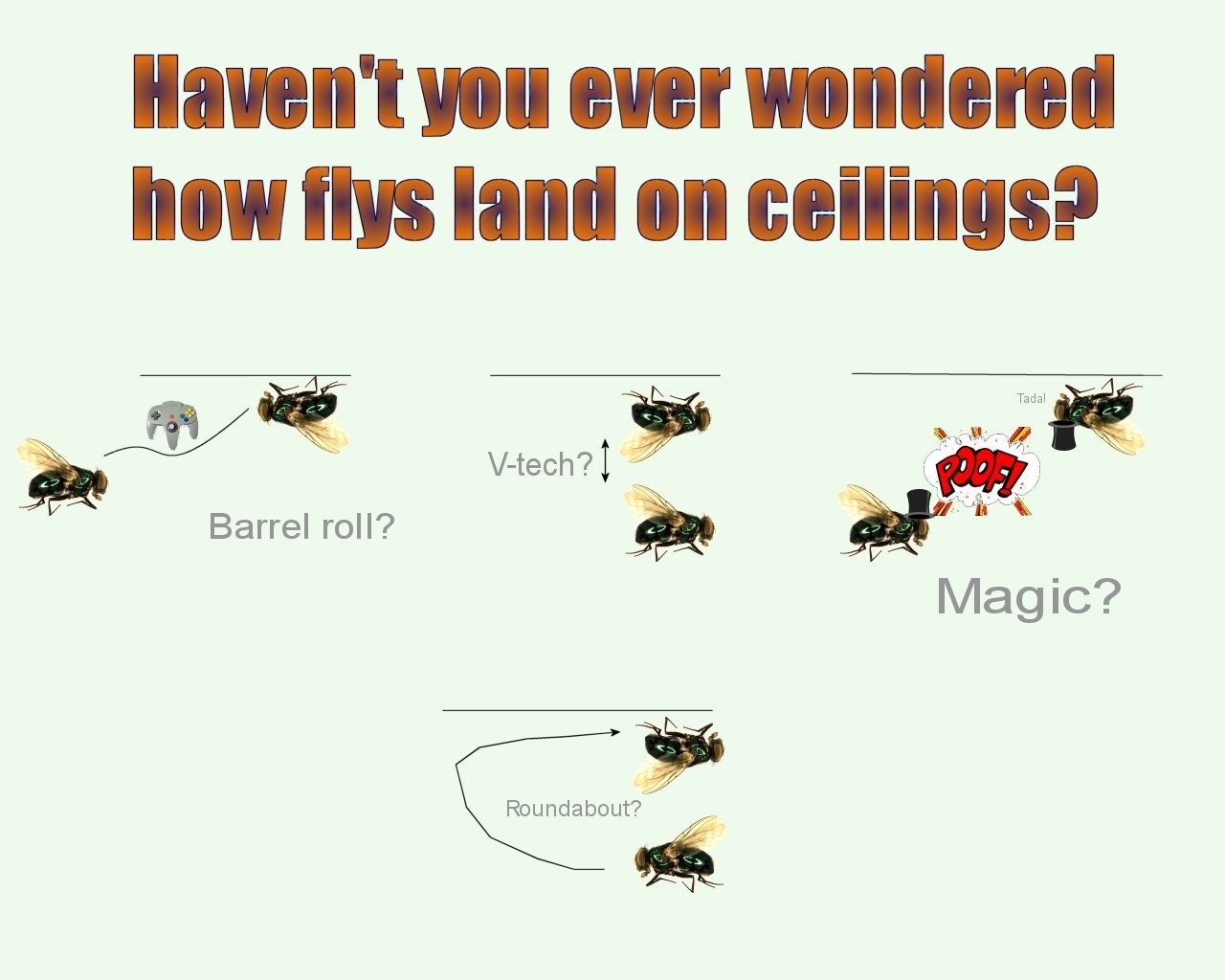 How Flies Land on Ceilings