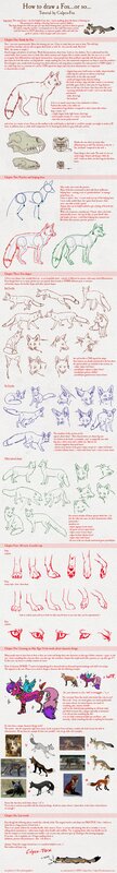 How to draw a fox tutorial
