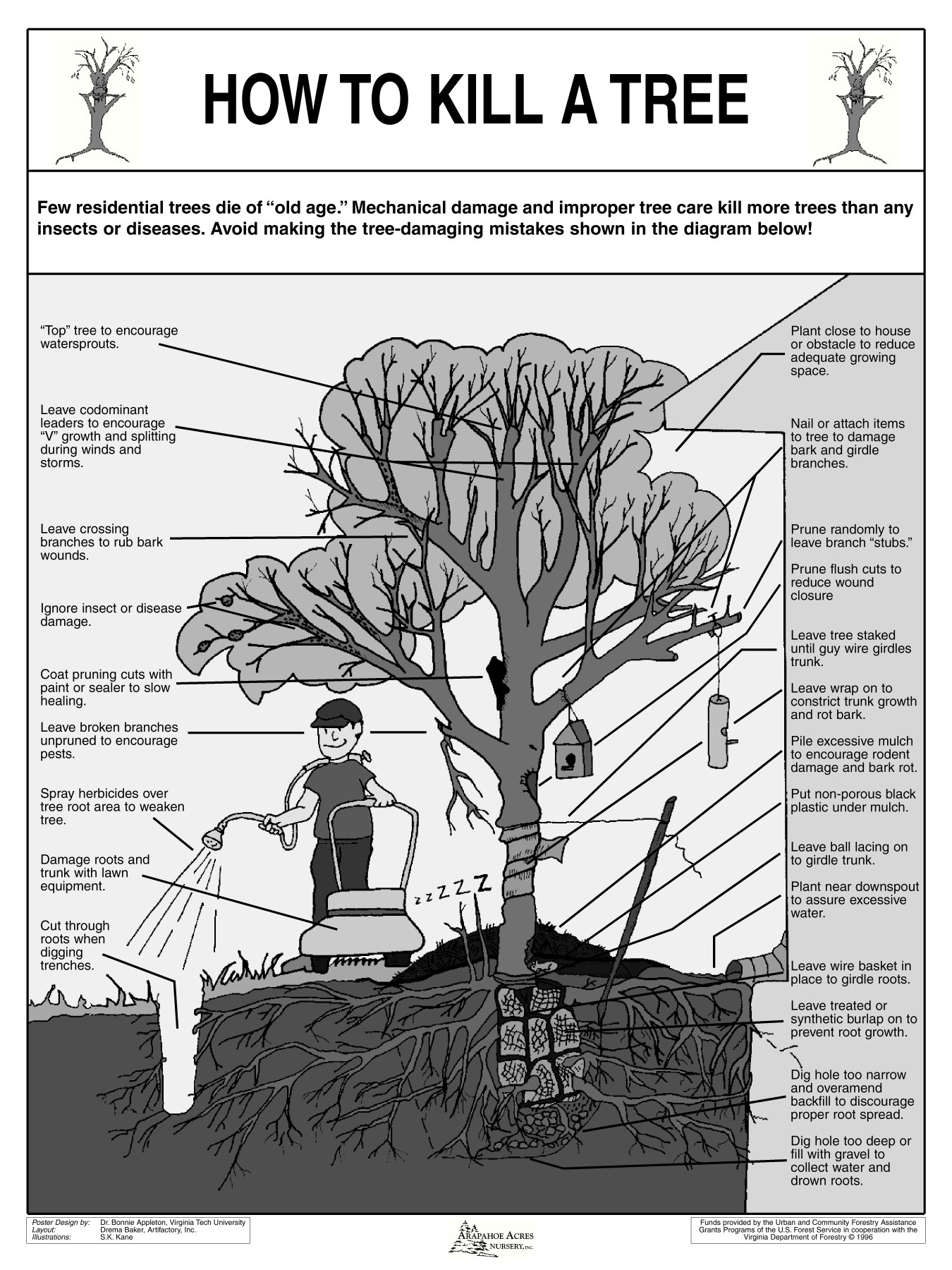 How to Kill a Tree