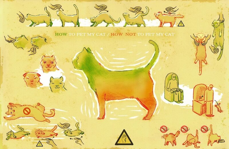 How to Pet a Cat Guide