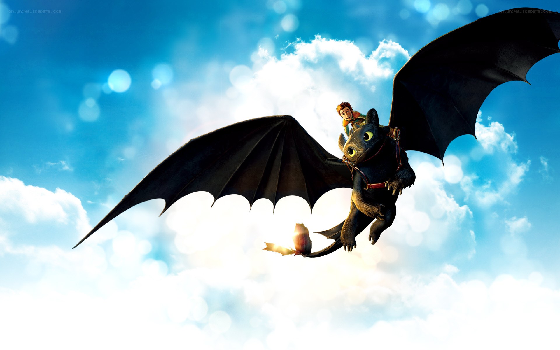 how to train your dragon