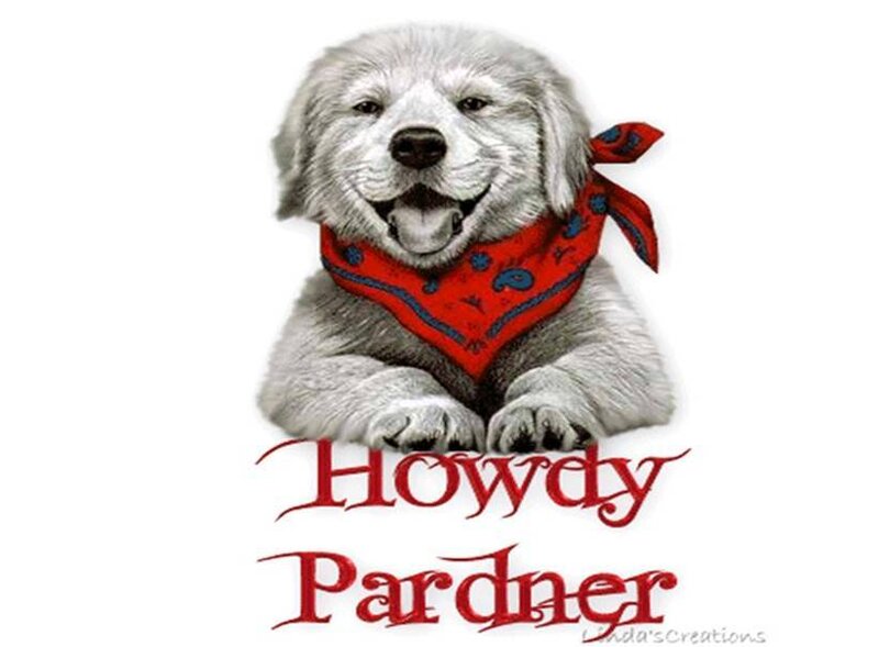 Howdy Pardner puppy