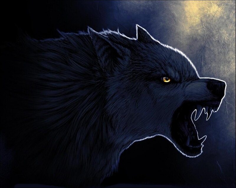 Howling Black Wolf — Dramatic