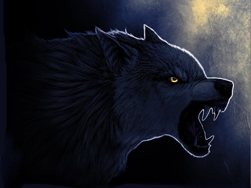 howling black wolf